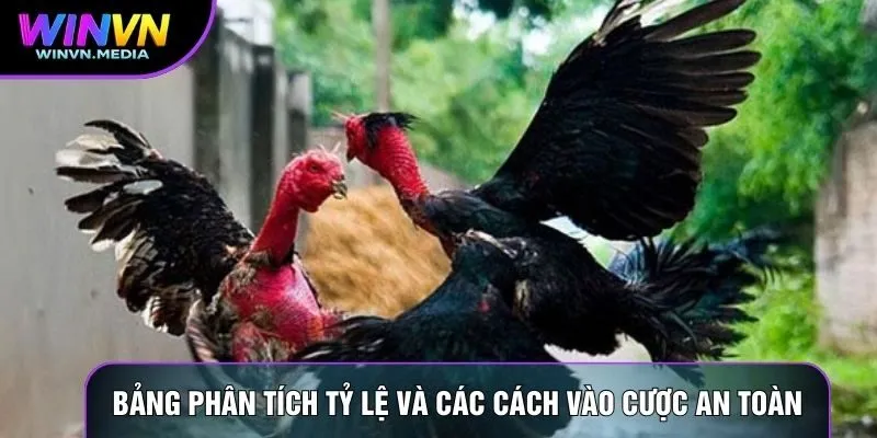 Bảng phân tích tỷ lệ và các cách vào cược an toàn