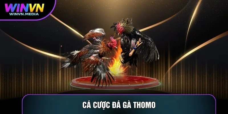 Cá Cược Đá Gà Thomo
