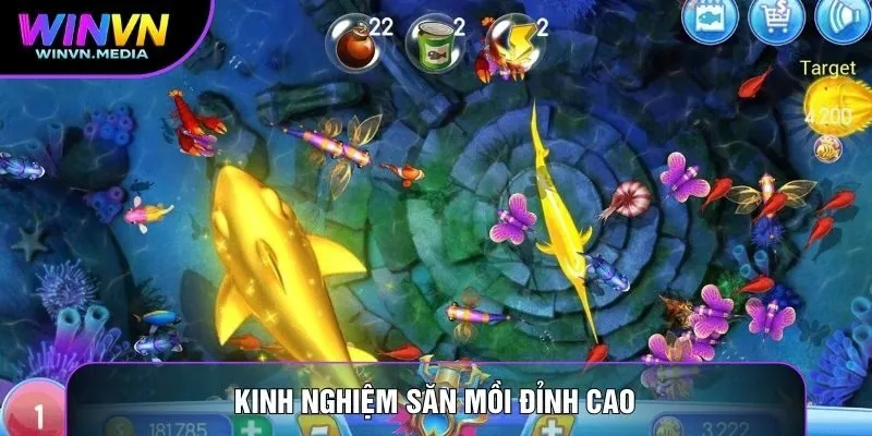 Kinh nghiệm săn mồi đỉnh cao